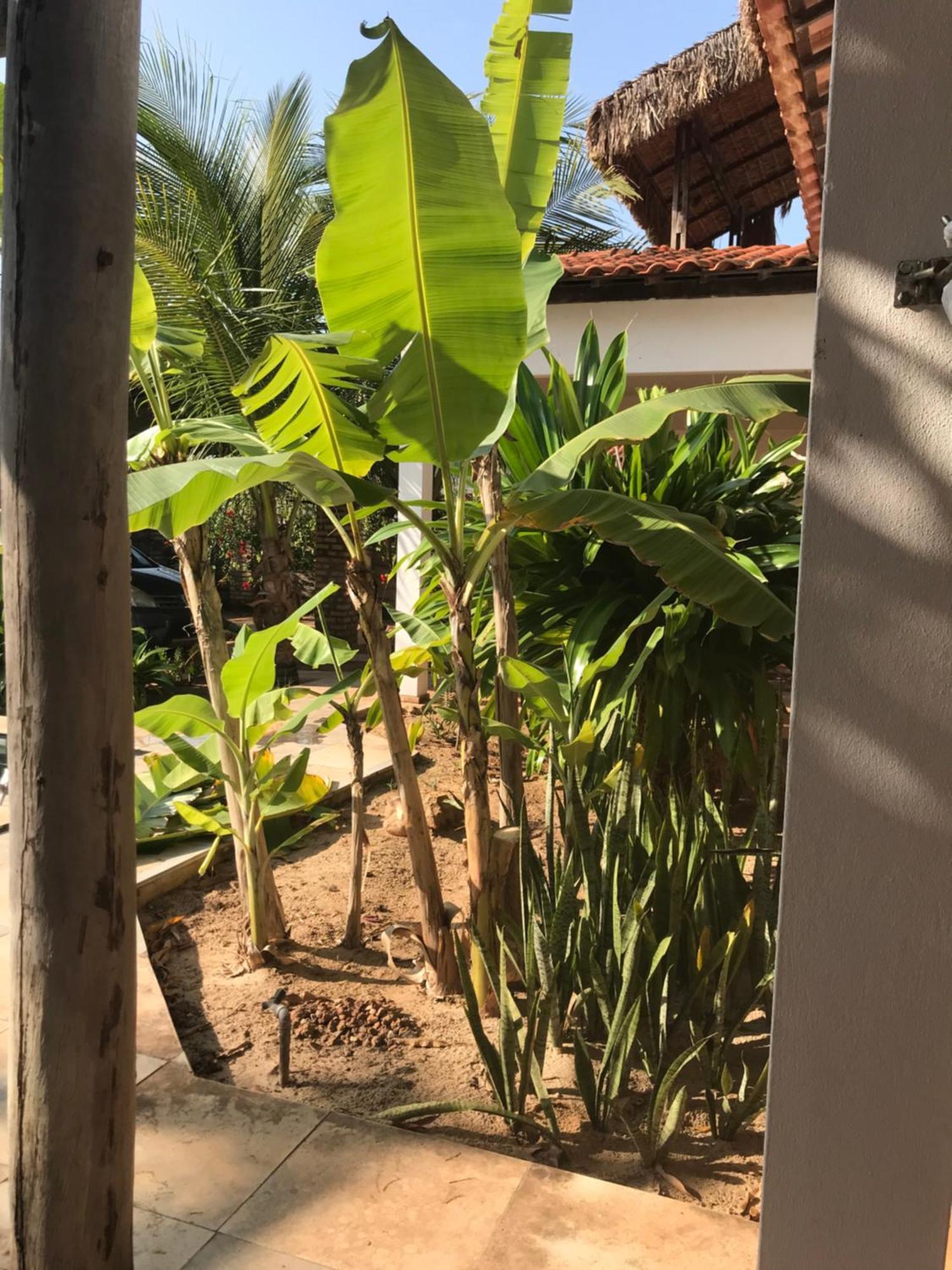 Casa Belamar เซามิเกลโดกอสโตโซ ภายนอก รูปภาพ