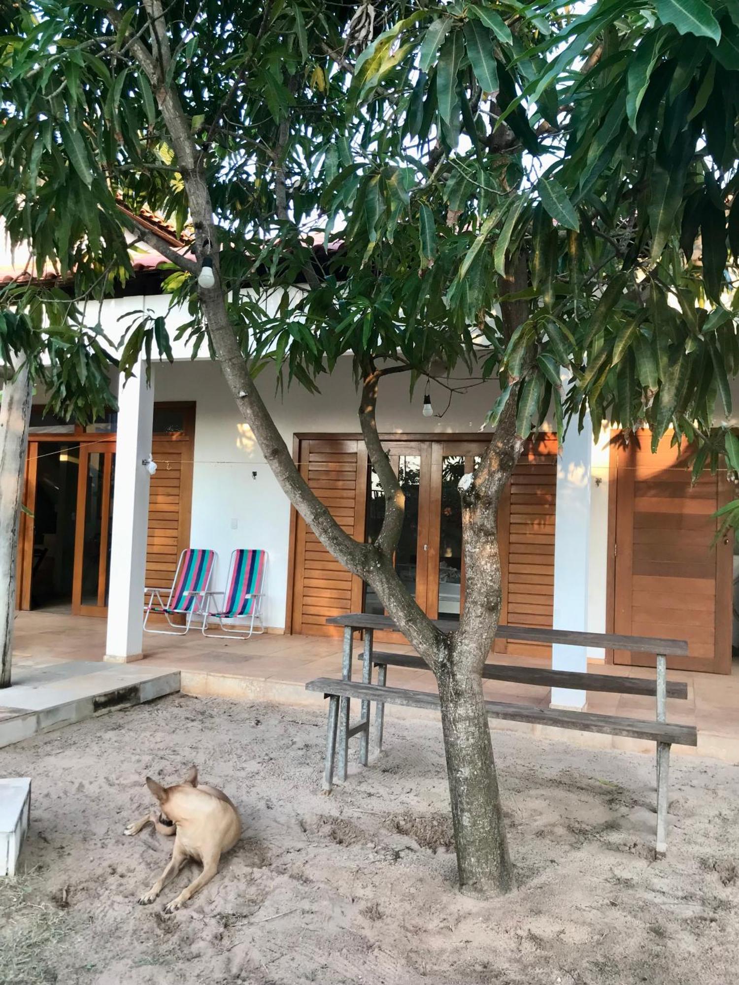 Casa Belamar เซามิเกลโดกอสโตโซ ภายนอก รูปภาพ